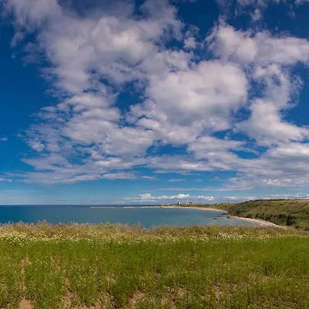 Apartament A Walk To Belvedere Vasto