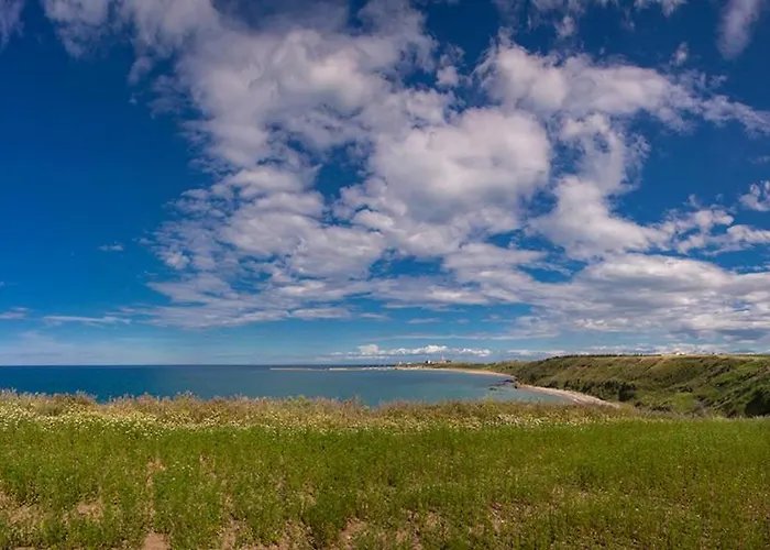 Apartment A Walk To Belvedere Vasto